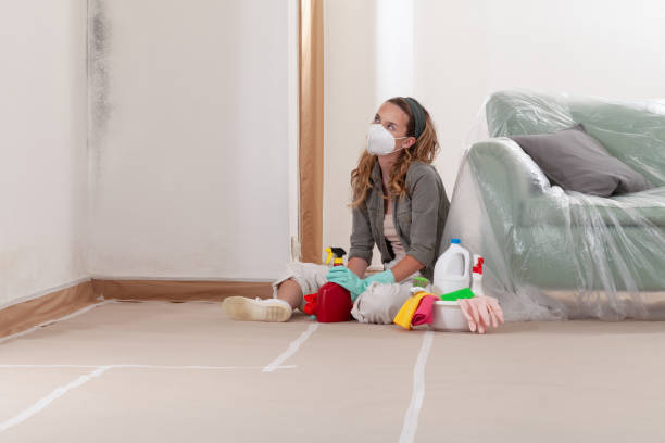 Trusted Mold Inspection service in Coatesville, PA - WQB Mold Removal