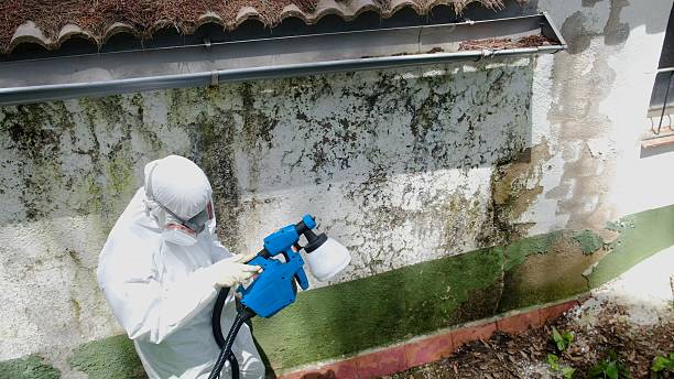 Top rated local Mold Inspection specialists in Coatesville, PA
